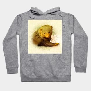 Mongoose Hoodie